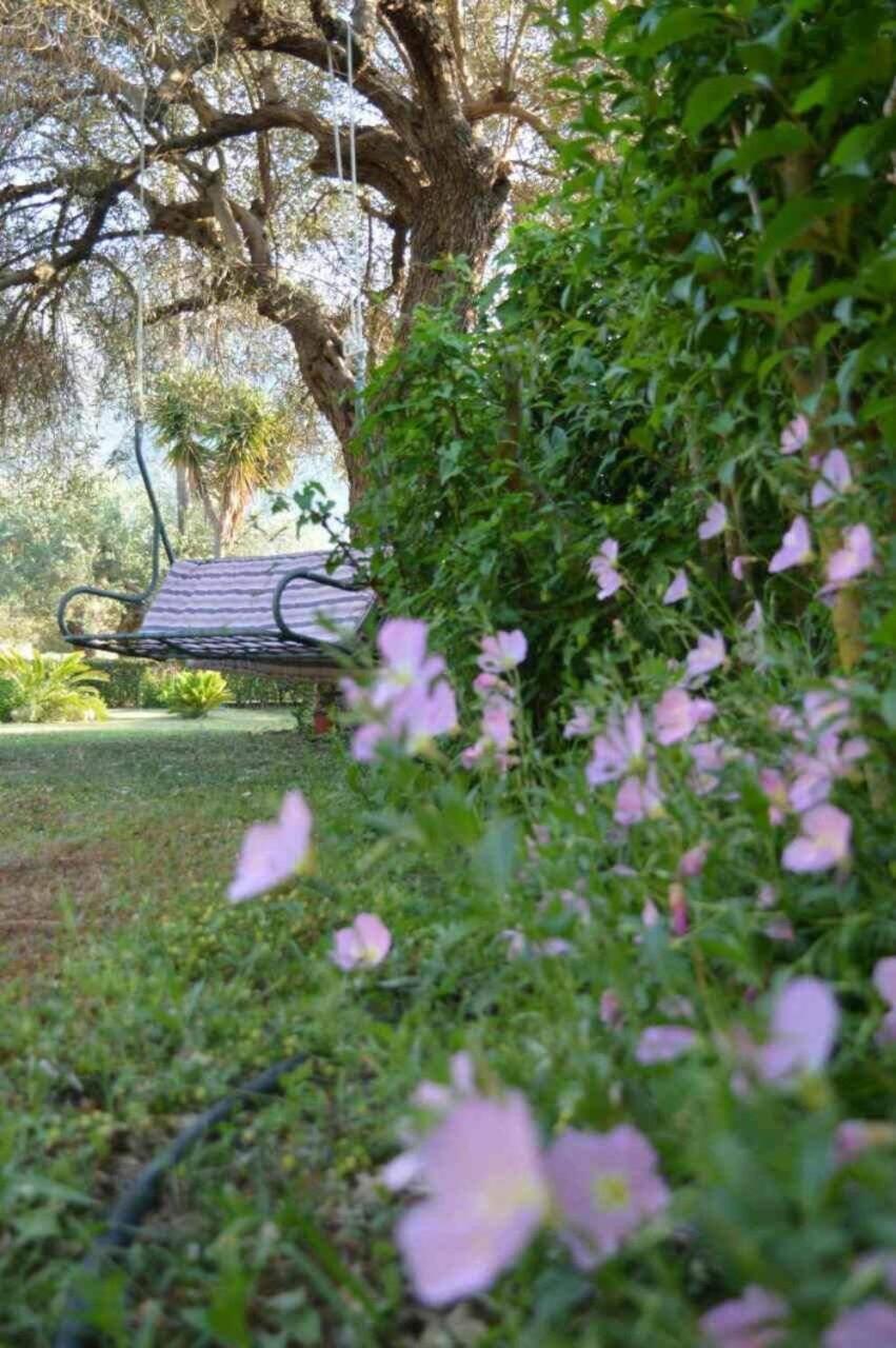 Appartement Sunny Garden à Plataria Extérieur photo