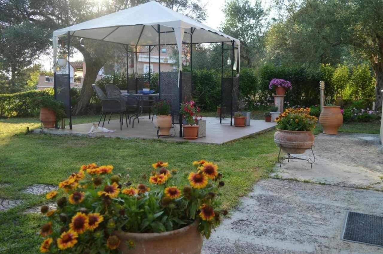 Appartement Sunny Garden à Plataria Extérieur photo